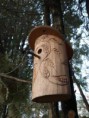 /album/fotogaleria/p1166136-jpg/